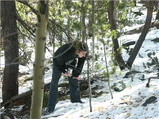 small_041001 coPICT8630.webp